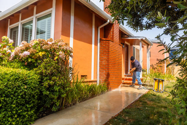  West Sayville, NY Pressure Washing Pros